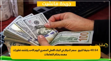 48.64 جنيهًا للبيع.. سعر الدولار في البنك الأهلي المصري اليوم الأحد يكشف تطورات مهمة بختام التعاملات 1